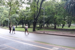 Caminhas no Parque Ibirapuera
